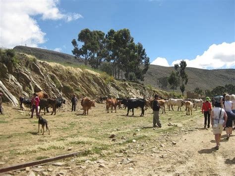 السياحة في سوكري؛ تعرف إلى أجمل المعالم السياحية في المدينة الخيالية