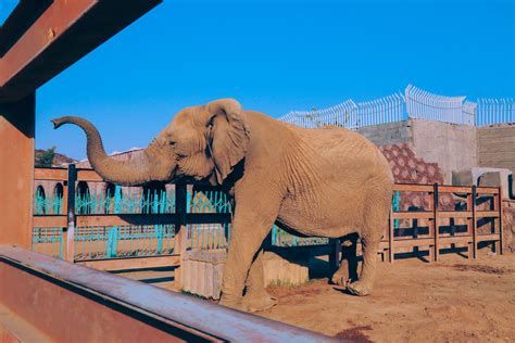 السياحة في جزيرة فلوريس