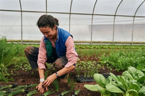 الزرع في المنام وتفسير حلم الزراعة بالتفصيل