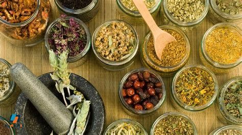 أفضل الأعشاب لحرق الدهون