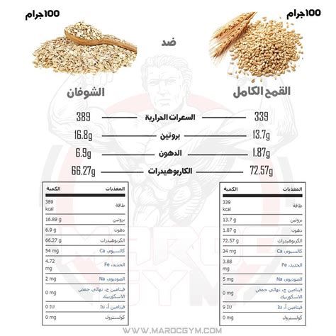 أفضل أنواع القمح