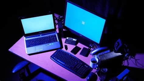 أفضل أنواع القمح