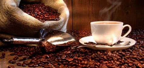 أين توجد مصادر مادة الكافيين
