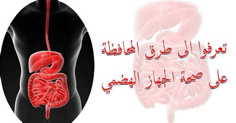 أين يباع اليقطين في مصر