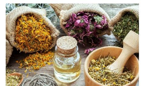 أعشاب قوية للنوم