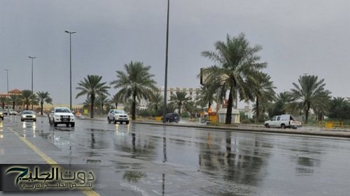 أجواء ضبابية ورياح نشطة على عدد من مناطق المملكة العربية السعودية