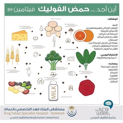 أعراض نقص حمض الفوليك في الجسم