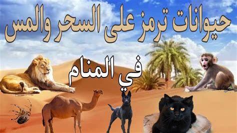 أعراض سحر التفريق في المنام