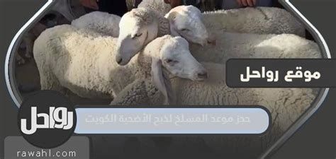 رابط حجز موعد للمسلخ الكويت 2025 وأسعار الأضاحي في الكويت