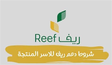 رابط التقديم في وظائف الجيش الكويتي لخريجي الثانوية للنساء والرجال 2025