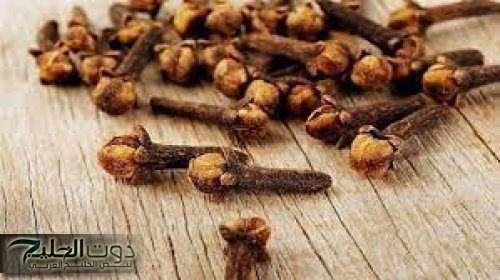 القرنفل!!.. سر القوة والصحة للرجال.. كيف يعزز القدرة الجنسية ويقوي الصحة العامة؟!!