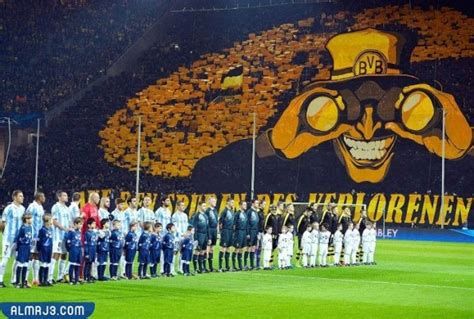 وش معنى تيفو