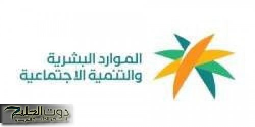 الموارد البشرية تطلق مهارة جدية في قطاع الأمن السيبراني