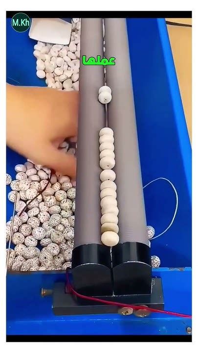 وش معنى تيفو