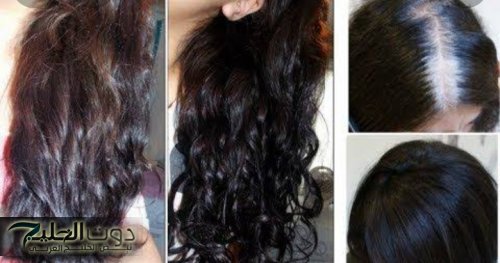 خلطة سوريا مذهلة في صبغ الشيب المبكر والقضاء على الشعر الأبيض