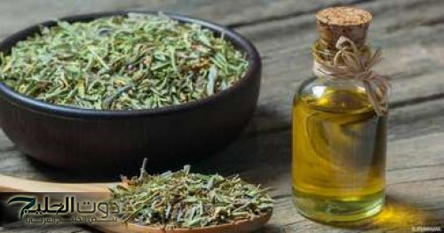 "كنز مخفي في بيتك ويملك قدرة على تغيير حياتك".. نبات لن تصدقي فوائده