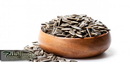 "اعرف قبل ما ترجع تندم!".. ماذا سيحدث لجسمك إذا تناولت اللب السوري أو اللب السوبر بصفة يومية.. مش هتصدق فايدتو ايه..!!!!!