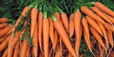 الجزر لمواجهة السكري؟