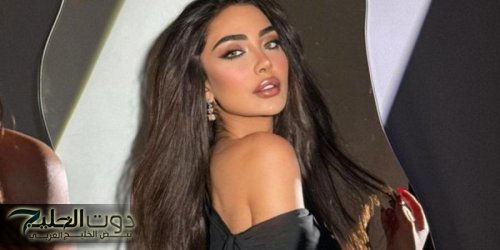 نور الغندور تقضي وقت مميز أثناء سفرها على متن الطائرة الخاصة