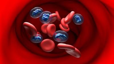 هرمون الذكورة عدواً للقلب؟