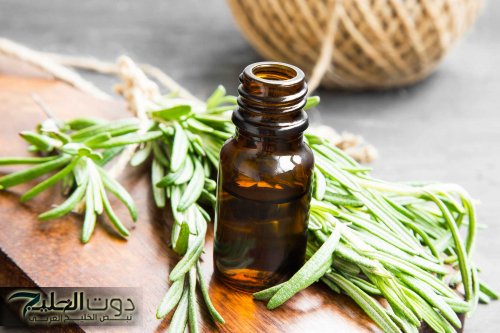 "شعرك هيبقي ناعم حرير"..اليك اقوي عشبه سحريه لتنعيم الشعر الخشن وتكثيفه وتطويله من اول استخدام هتنبهري بالنتيجه!