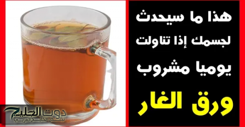 ورق الغار: العلاج السحري للبواسير والإمساك المزمن بدون تدخل جراحي