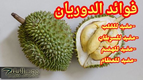 فاكهة الدوريان: أغلى فاكهة استوائية في العالم