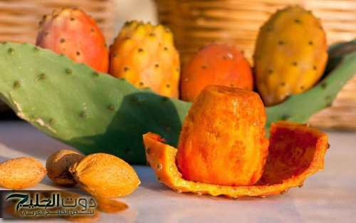 زراعة التين الشوكي: الطريق إلى الثراء والصحة