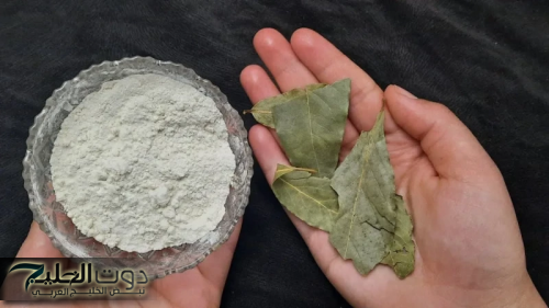 ودّعي التجاعيد نهائيًا! وصفة ورق الغار والنشا لتفتيح البشرة وإعادة الشباب بتكلفة بسيطة