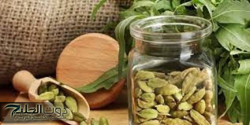 زراعة الهيل في المنزل: مشروع مربح قد يحقق لك ثروة في وقت قياسي!