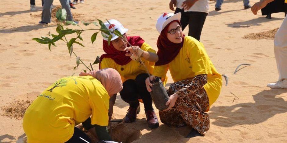 بدعم التحالف الوطنى.. الدقهلية تستعد لإطلاق المرحلة الثالثة من مبادرة "ازرع"