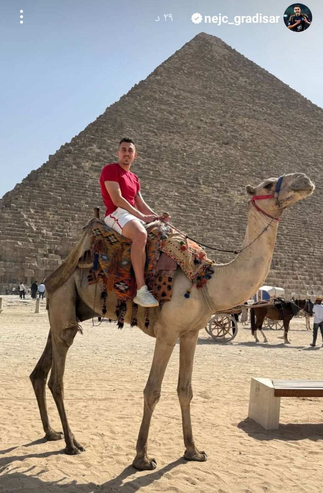 جراديشار على جمل فى جولة بالأهرامات قبل مواجهة الهلال السودانى