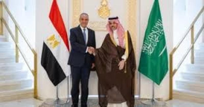 موقف مصري سعودي موحد بشأن حل الدولتين وتهجير الفلسطينيين