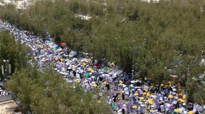 مهلة أخيرة لتحديث بيانات التأشيرات… تحذير مهم لشركات السياحة قبل انطلاق موسم...