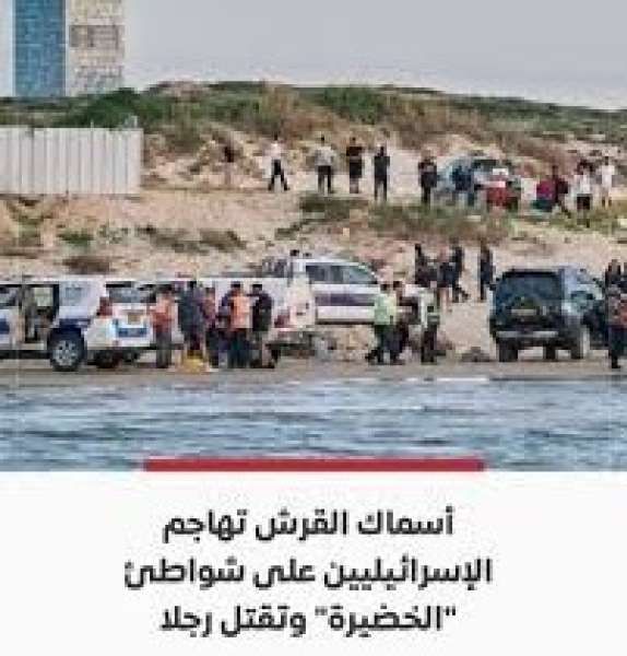 هجوم مفاجئ لأسماك القرش يثير الذعر على سواحل ”الخضيرة” ويودي بحياة رجل