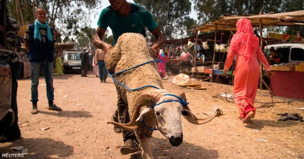 العالم اليوم - إقبال مغربي على شراء اللحوم للعيد ومطالب بالاستهلاك المسؤول
