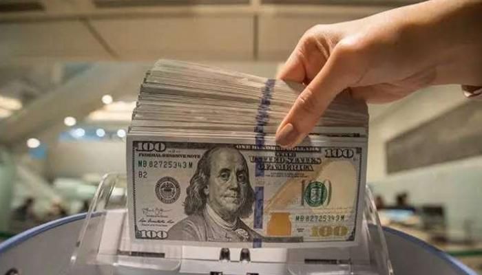 سعر الدولار اليوم في مصر الأحد 22 يونيو 2025.. استقرار الجنيه