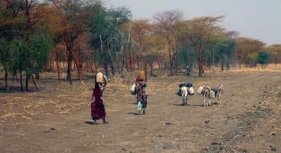 39 دولة تواجه تدهوراً اقتصادياً خطيراً