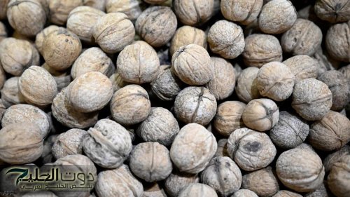 كنز رباني لا يقدر بثمن .. بذور سحرية تحارب الشيخوخة وتعيد الأمل العجوز هتخليك في سن الشباب حتي لو عمرك فوق