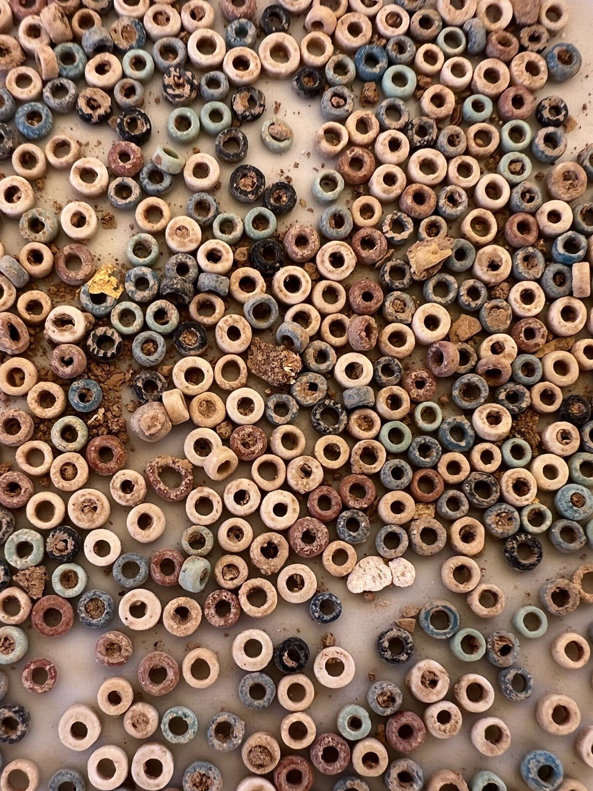 عاجل: مقابر يونانية ورومانية.. الإعلان عن كشف أثري جديد في أسوان