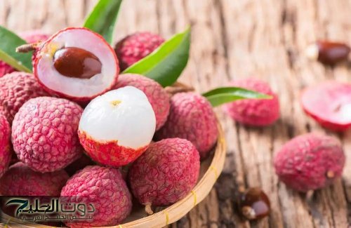 فلاح ابن فلاح اللي قالي عليها.. الفلاحين تكشف عن نبات سحري يؤخر الشيخوخة هتفضل في سن العشرين