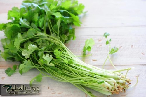 سر خطير ومعجزه من السماء في مطبخك لازم تعرفيه .. هذه العشبة السحرية كنز في بيتك هتتجنني لما تعرفي أهميتها!!