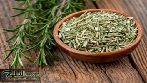 معجزة نزلت من السماء .. عشبة طبيعية تقوي الذاكرة وتعيد بناء خلايا المخ الميتة وتحمي من الزهايمر والخرف