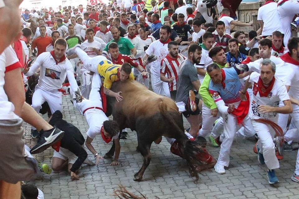 عاجل: سان فيرمين.. ما لا تعرفه عن جنون الجري أمام الثيران