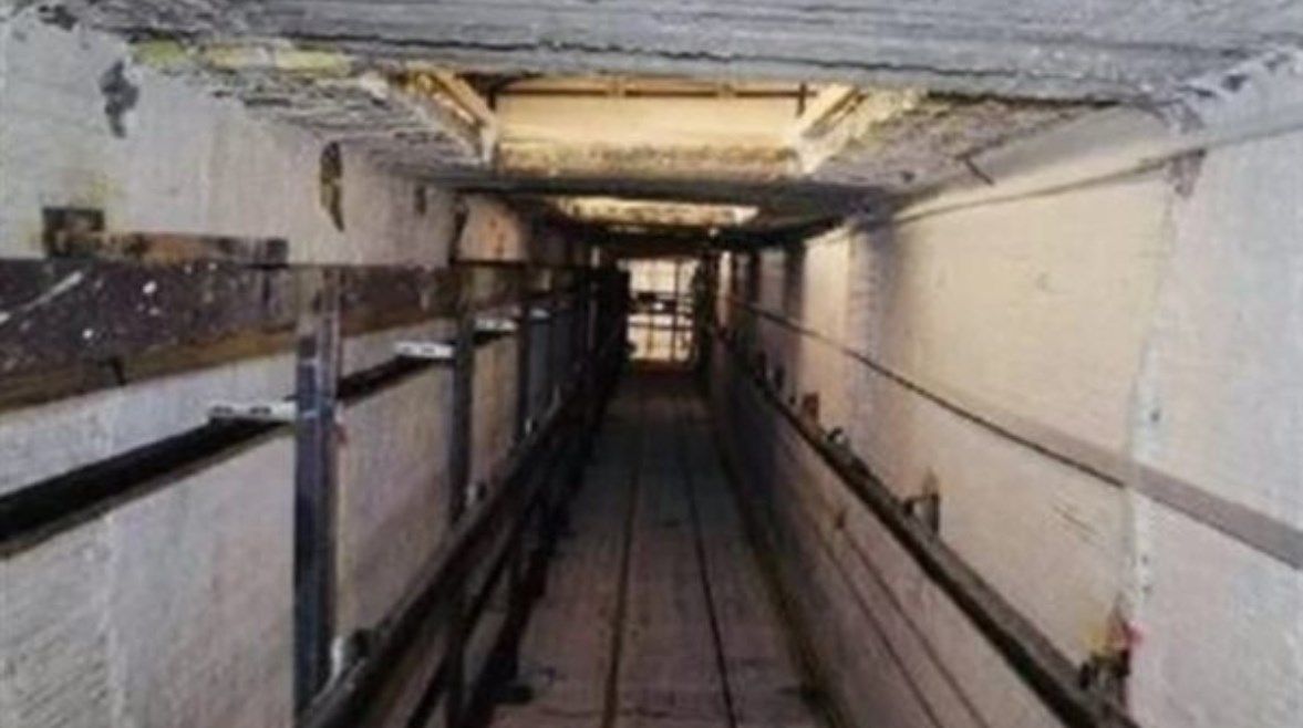 عاجل: “وفاء يقود للقبر”.. كلب يتسبب في مصرع طفل داخل أسانسير بالجيزة