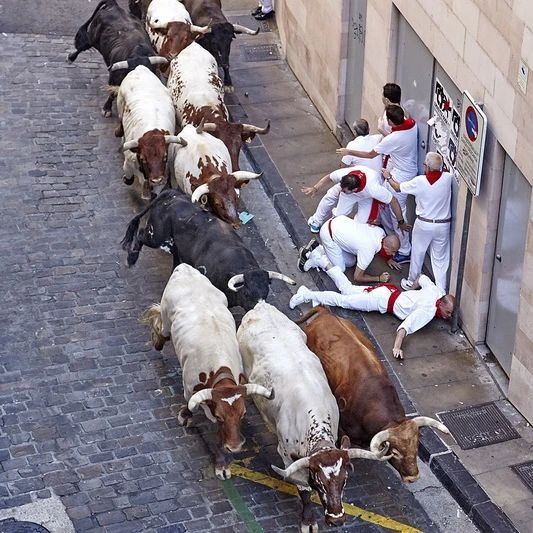 عاجل: سان فيرمين.. ما لا تعرفه عن جنون الجري أمام الثيران