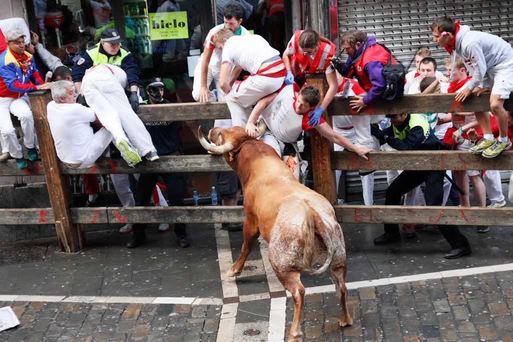 عاجل: سان فيرمين.. ما لا تعرفه عن جنون الجري أمام الثيران