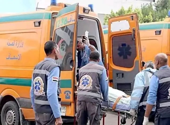 عاجل: ساعدها في عبور شريط السكة.. وفاة مسنة ورجل صدمهما قطار بأسيوط