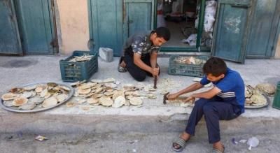 أخبار اليمن : تحذير من تداعيات إنسانية كارثية في غزة