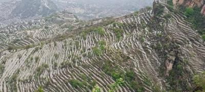 أخبار اليمن : رياح وأمطار وتحذير من اضطراب البحر